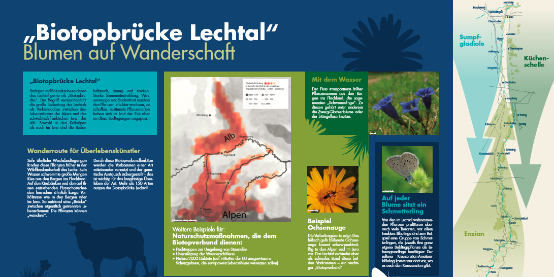 Infotafel Biotopbrücke